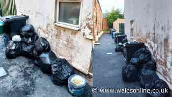 Awful state of new homes in Mold where bins have never been collected and residents are livid