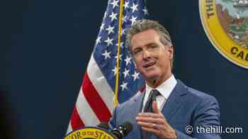 Newsom praises Trump Accounts, first lady foster-youth efforts