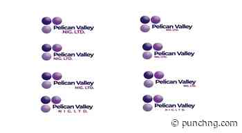 DIASPORA REAL ESTATE BOOM: Pellican-Valley Marks 12th Anniversary With First-Ever 20% Discount Sales In Ogun State