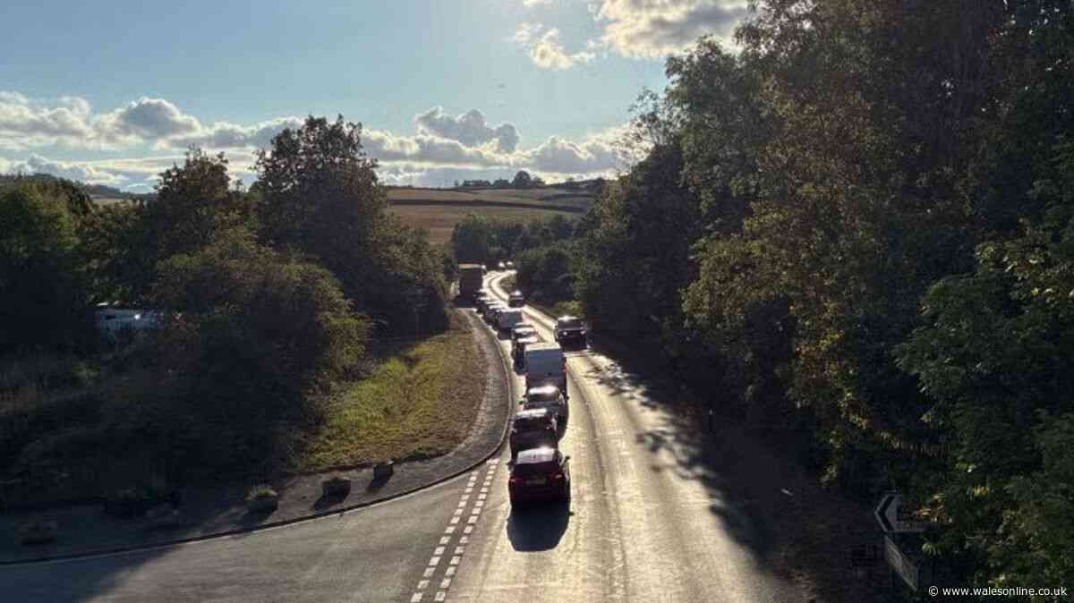 Monmouth girl, 11, airlifted to hospital in critical condition after crash
