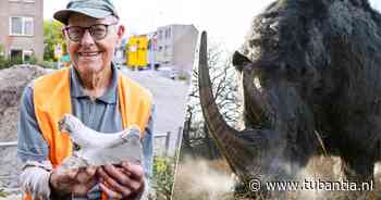 Als Frank onkruid staat te wieden trekt hij ineens een eeuwenoud fossiel uit de bosjes