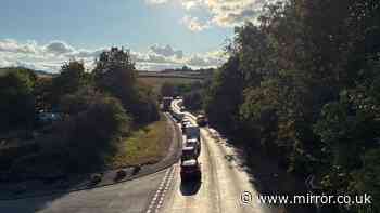 Girl, 11, suffers life-changing injuries in Devon crash and airlifted to hospital