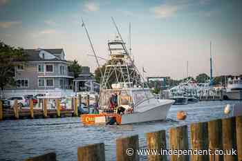 Man catches 1260-pound Atlantic blue marlin believed to break East Coast record