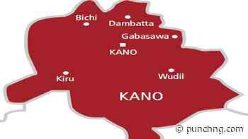 Kano taskforce sets up committees to fight drug trafficking