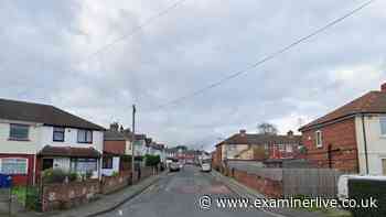 Gun fired on Doncaster street as police launch investigation