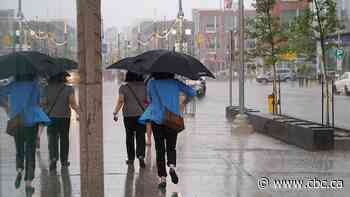 Heavy rain and thunderstorms could bring more than 50 mm to Waterloo region and Guelph
