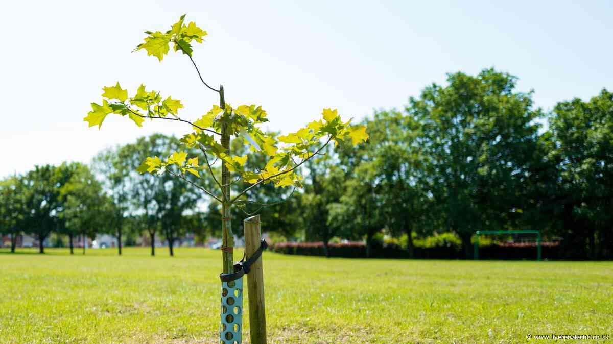 Gardeners' World expert shares truth about tree myth - and it's bad news for UK gardeners