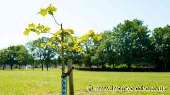 Gardeners' World expert shares truth about tree myth - and it's bad news for UK gardeners