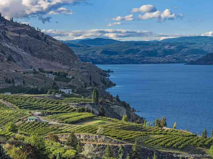 Anthony Gismondi: How you can help B.C. wineries and distilleries affected by wildfires