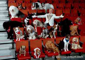 This Day in History, 1976: The SuperDogs debut at the PNE