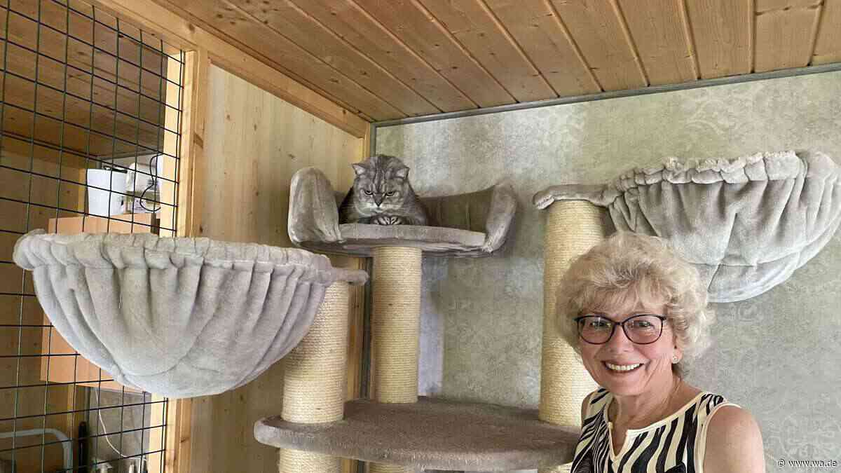 Urlaub für die Katze – mit besonderem Luxus: Katzenpension in Hamm ausgebucht