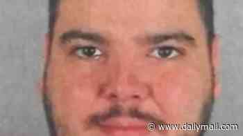 The new world's most wanted: Now Daniel Kinahan is behind bars, the $1bn narco 'Chubby Jos' who's living 'like a king' in palm fringed Sierra Leone beach resort after fathering a baby with the president's DAUGHTER