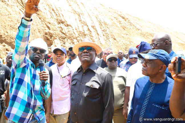 Why I’m not Tinubu’s campaign D-G – Wike