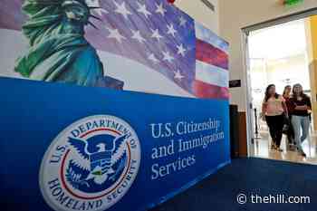 Federal judge rules against Trump's 75-country visa ban