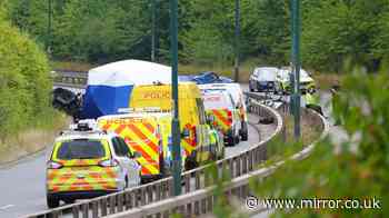 A66 crash: Two police officers killed in wrong-way crash named