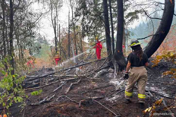 Large, out-of-control wildfire quickly extinguished by Hope Fire Department