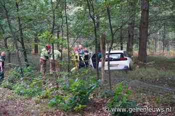 Auto vliegt door hek en knalt tegen boom in bos