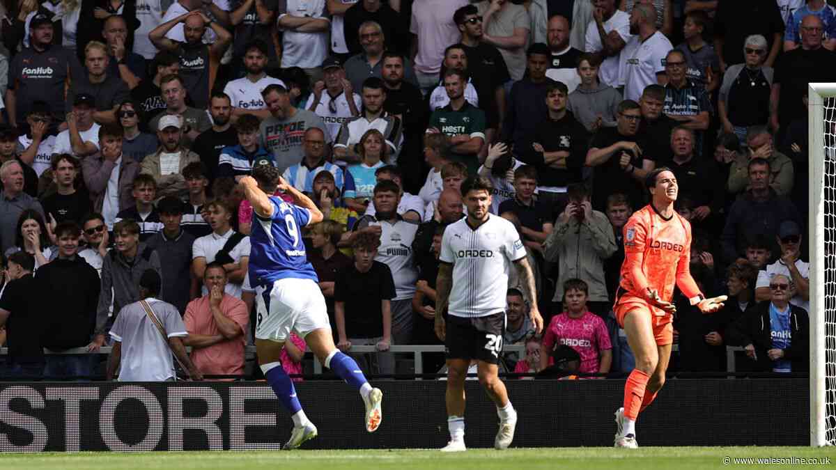 Ashford and Salech on target as Cardiff City earn hard-fought point at Derby County
