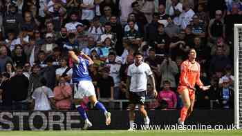 Ashford and Salech on target as Cardiff City earn hard-fought point at Derby County