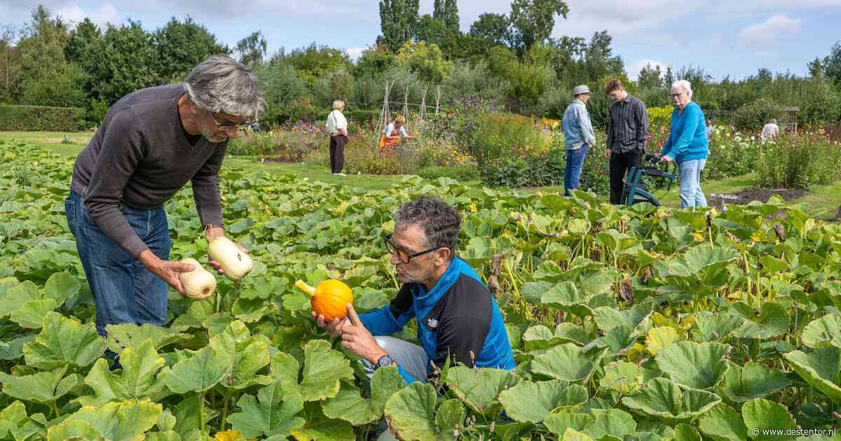 Op deze akkers in Apeldoorn is de pompoen bijzaak en de mens hoofdzaak