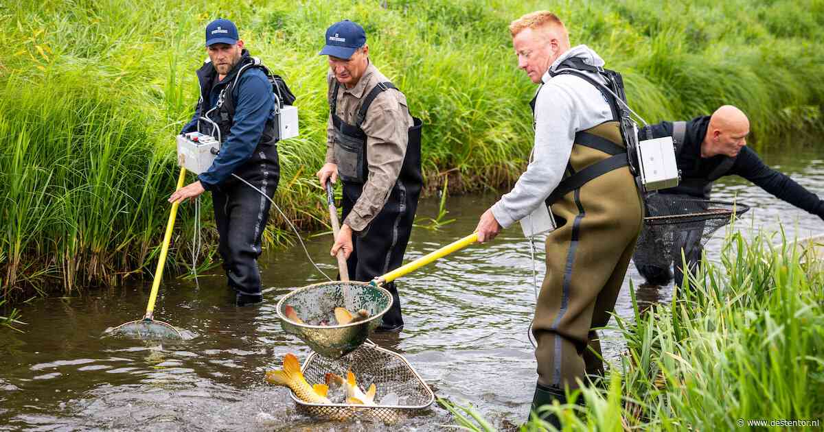 Vissers zijn niet meer nodig bij sloten nu de IJssel voorzichtig weer stijgt