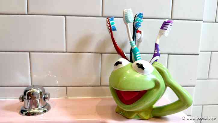 How gross is it to leave a toothbrush exposed in the bathroom?