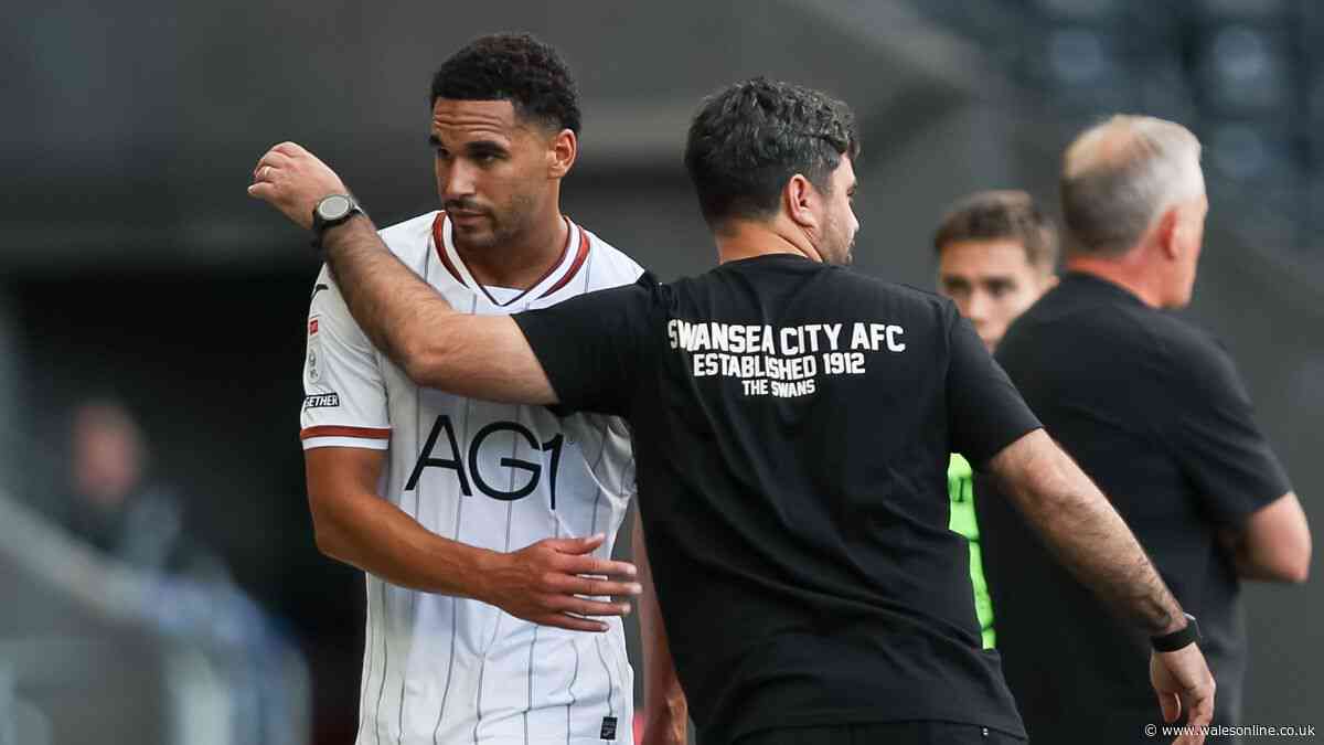 Swansea City in potential centre-back injury crisis as Matos faces anxious wait