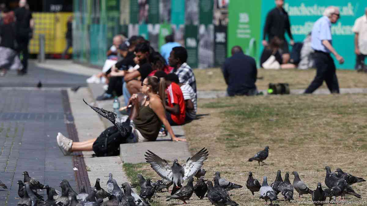 Piccadilly Gardens revamp and hundreds of flats amongst latest Greater Manchester developments