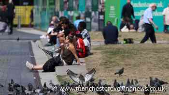 Piccadilly Gardens revamp and hundreds of flats amongst latest Greater Manchester developments