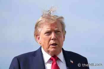 Trump bashes Greene, Massie after meeting with Tucker Carlson