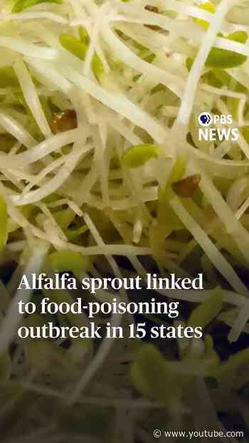 Alfalfa sprout linked to food-poisoning outbreak in 15 states