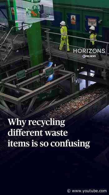 Why recycling different waste items is so confusing