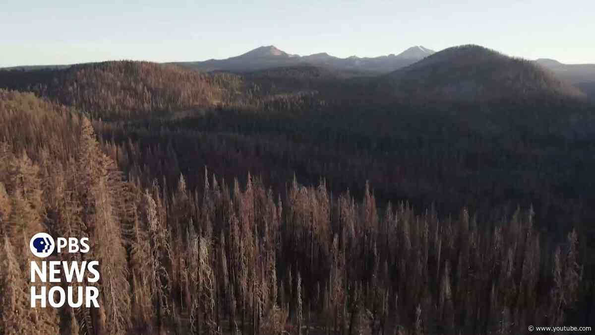 U.S. Forest Service, timber companies spraying record amounts of glyphosate in California