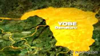 Fire destroys Yobe settlement, kills woman, three children