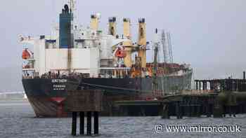 Cargo ship with 24 crew members sinks in Bay of Bengal as rescue operation launched
