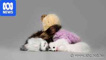 Dog, rabbit and fox fur found in toys and keyrings sold in markets and online