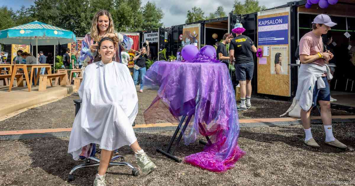 Lowlands is niet alleen bier en bandjes: er wordt dit jaar ook onderzoek gedaan naar stress na kanker