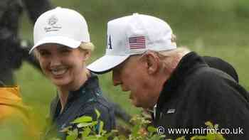 Natalie Harp: Backstory and trigger for executive assistant's devotion to Donald Trump