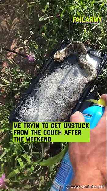 It's the same thing every Monday #mondaymotivation #weekend #worklifebalance #animalrescue #fail