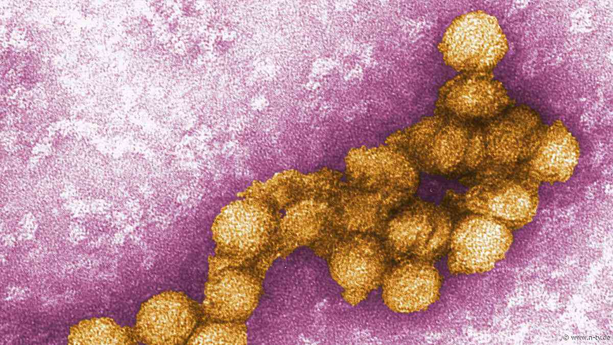 Heißer Sommer verschärft Lage: Nordmazedonien meldet fünf West-Nil-Virus-Tote