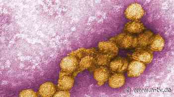 Heißer Sommer verschärft Lage: Nordmazedonien meldet fünf West-Nil-Virus-Tote
