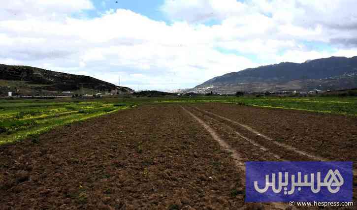 "الداخلية" تطلق عملية واسعة لـ"غربلة" لوائح أ