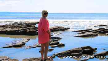 I've finally realised I don't need to leave Wales for a brilliant summer holiday