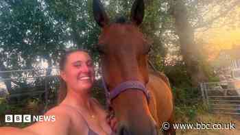 'I risked life to save horses in Stourbridge fire'