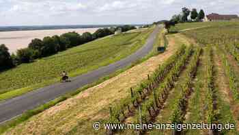 Tour de France durch die Weingärten von Bordeaux