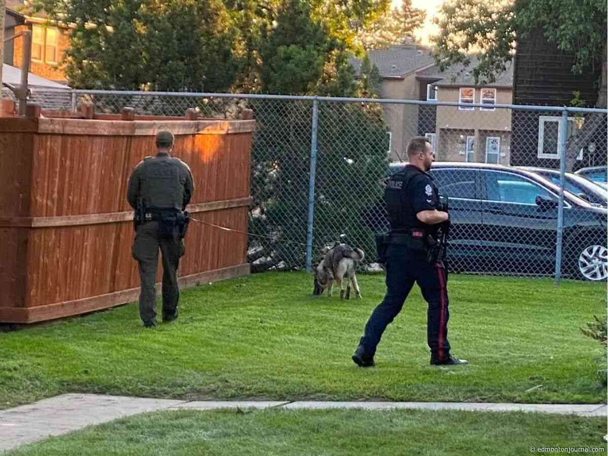 'How did he even get a gun?': Expert says Edmonton gang violence on the rise