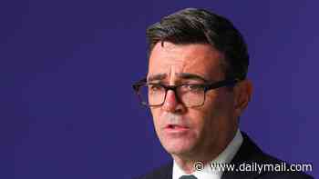 Backbenchers warn Andy Burnham against calling 'carnage' snap general election