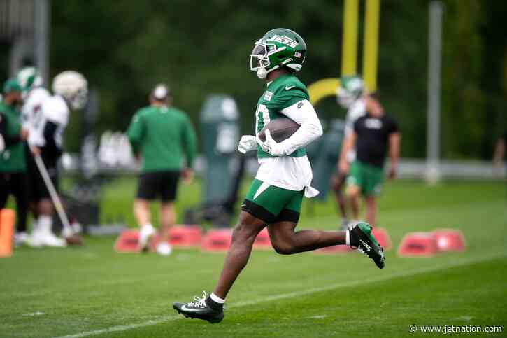 What New Jets Fans Should Know Before Placing Their First Bet on a Game