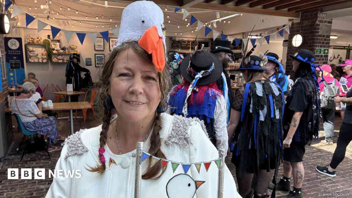 Seagull impersonator says birds get a 'bad press'
