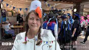 Seagull impersonator says birds get a 'bad press'